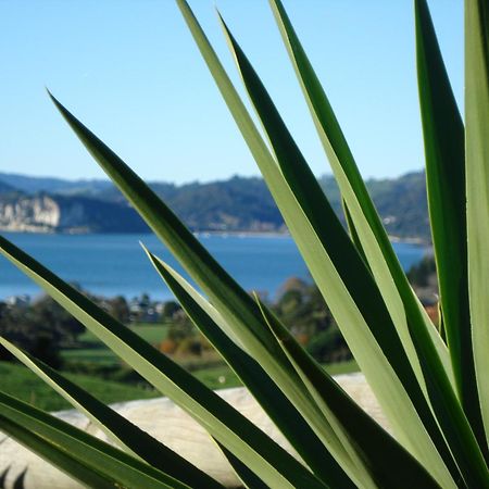 Ohuka Place Homestay Whitianga Exterior foto